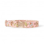 PNH002-954-XS